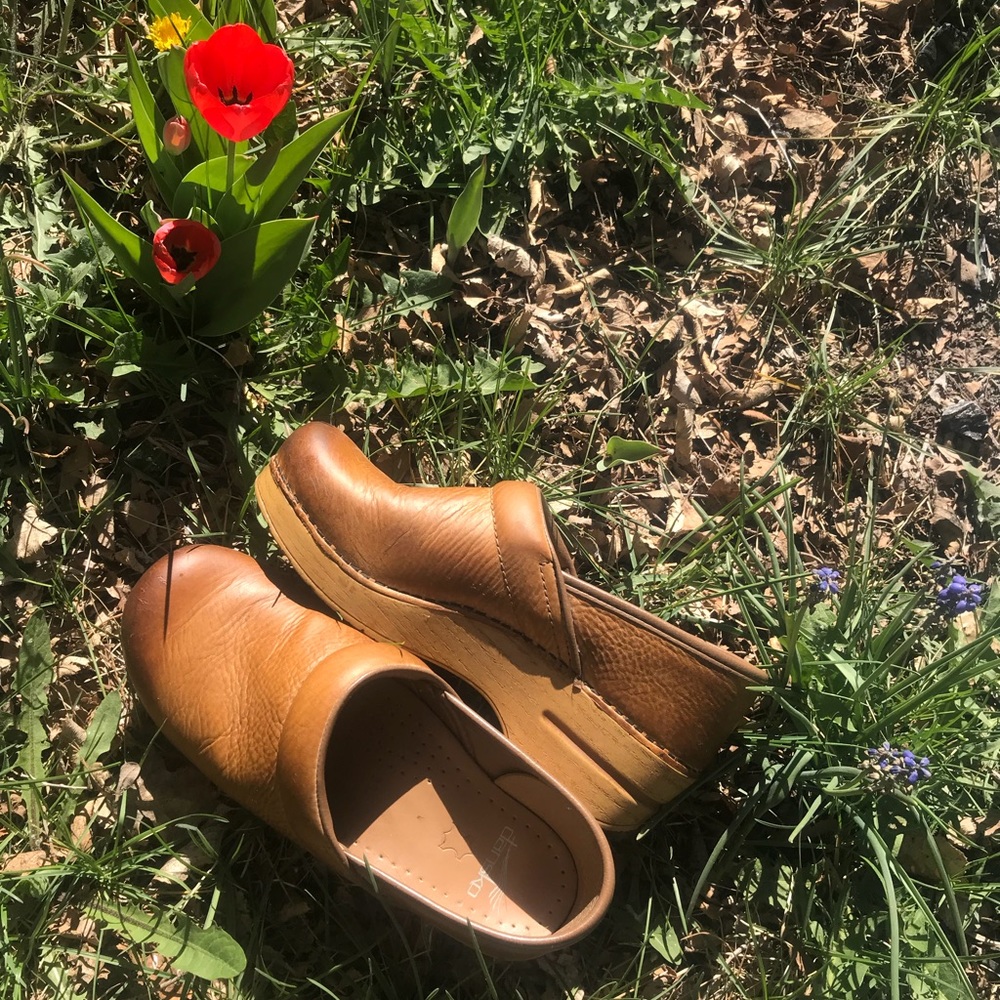 Leather Dansko Clogs